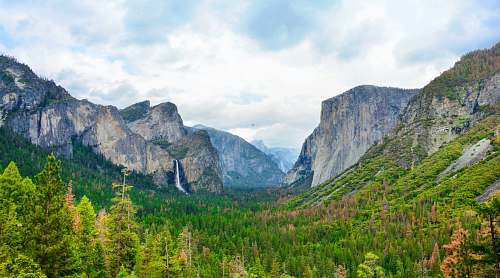 mountain pine tree fields surrounded with rocky mountains nature